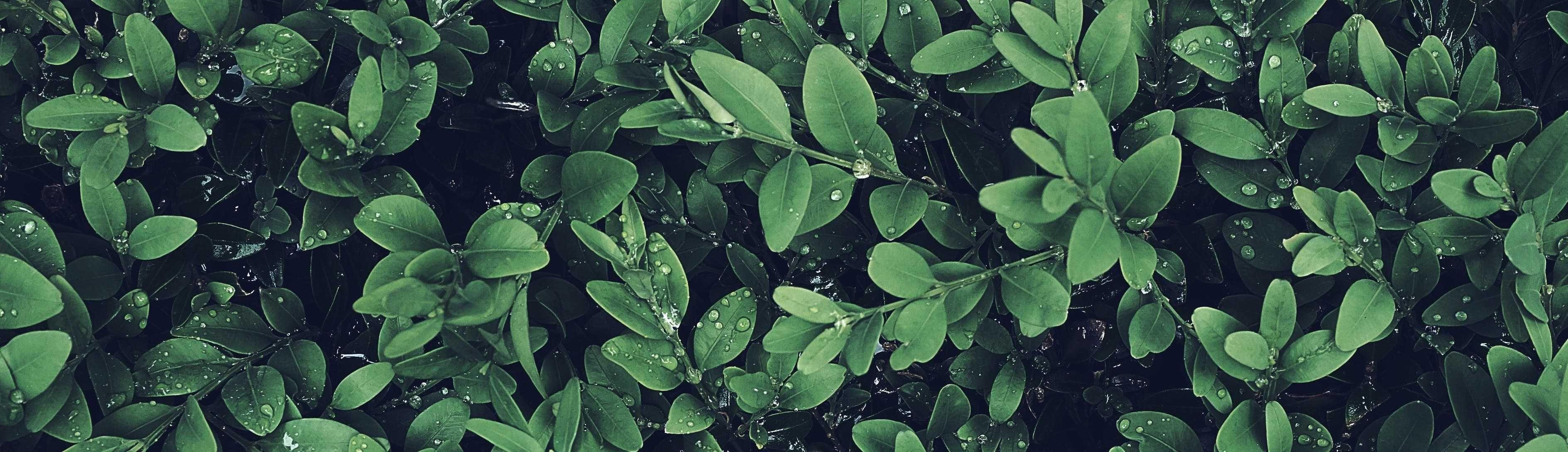 Featured