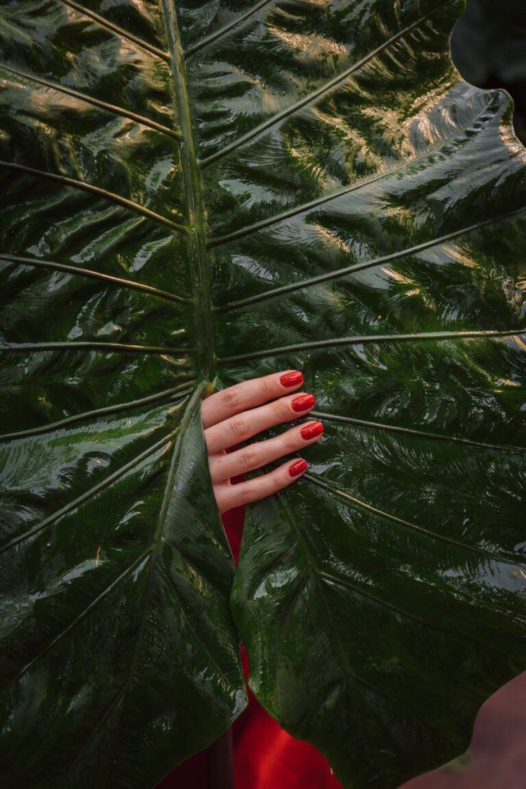 Featured