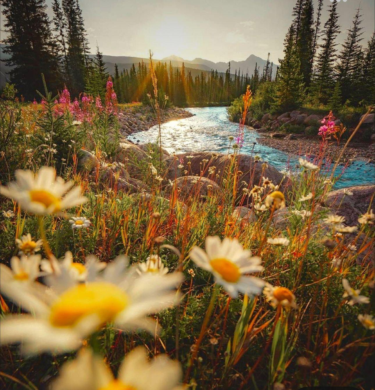 Featured