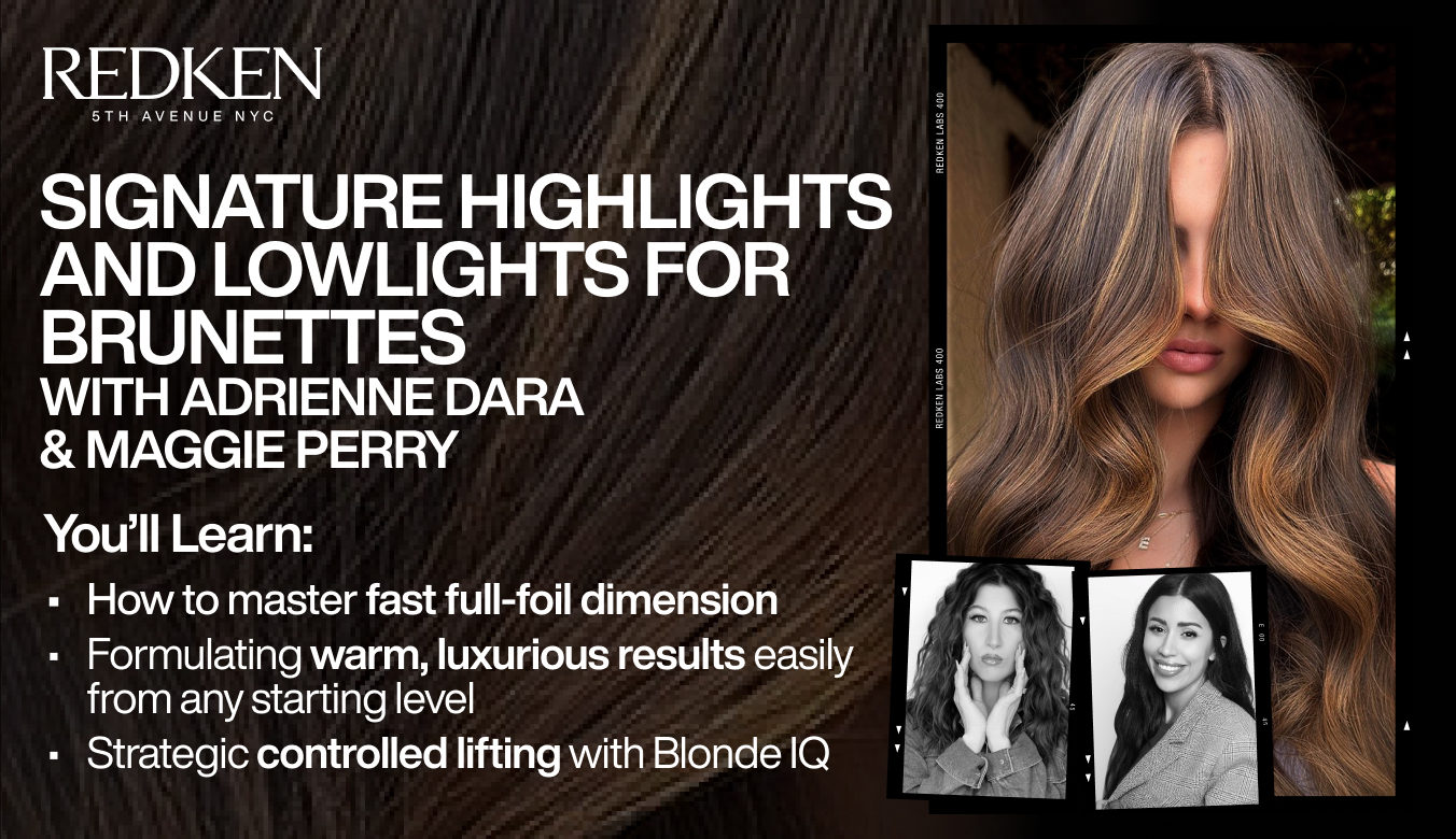 Redken Signature Brunette Highlights and Lowlights class artwork